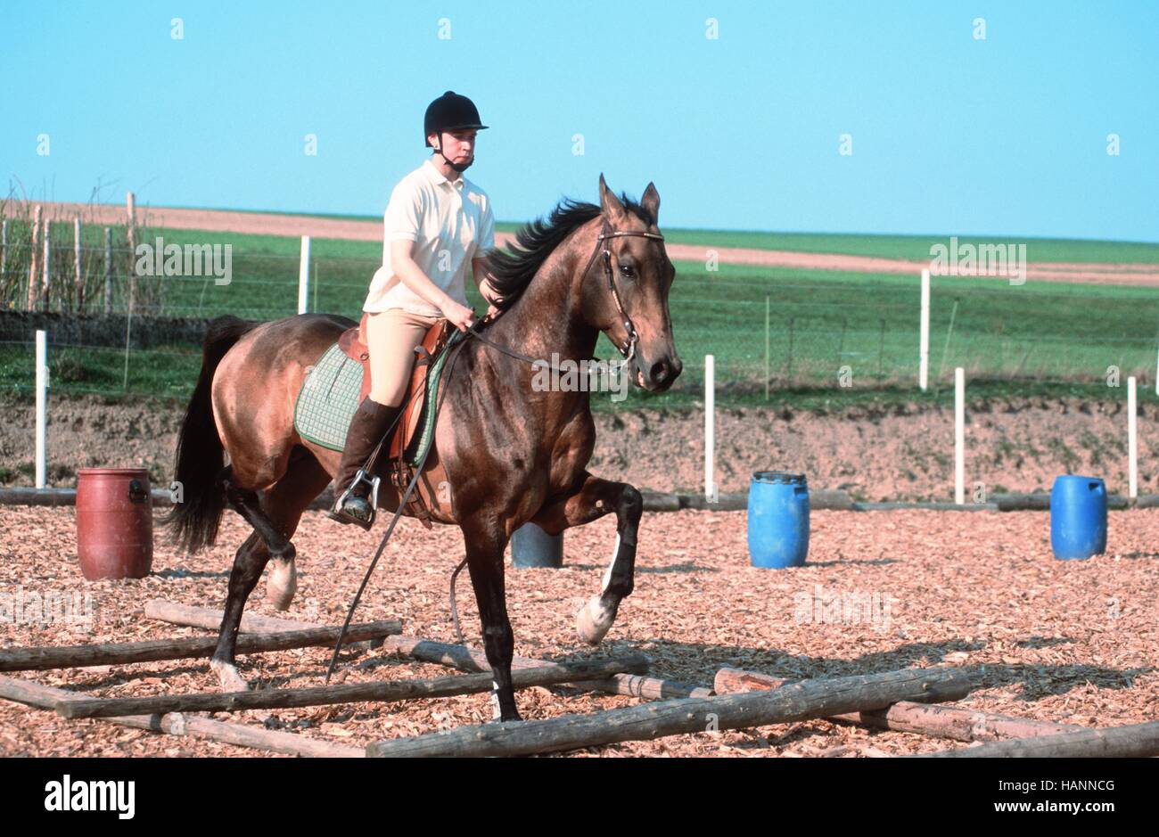 Cavaletti-Training Stock Photo