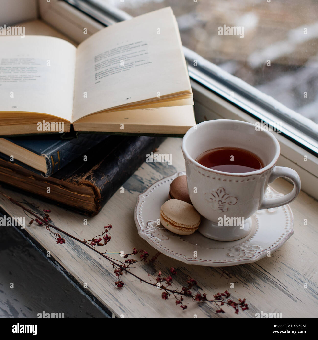 https://c8.alamy.com/comp/HANXAM/cozy-winter-still-life-cup-of-hot-coffee-and-opened-book-on-vintage-HANXAM.jpg
