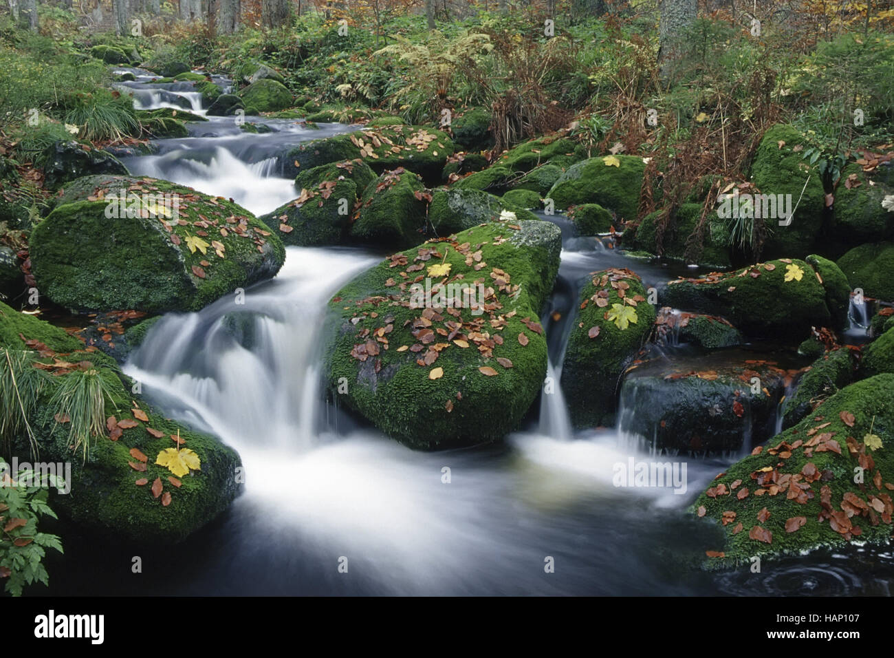 mountain torrent Stock Photo