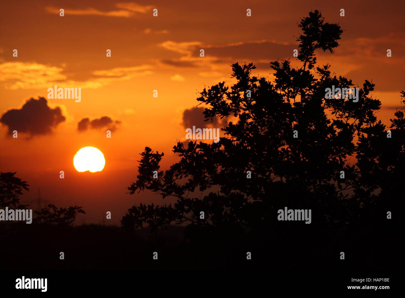 Sunset and horizont hi-res stock photography and images - Alamy