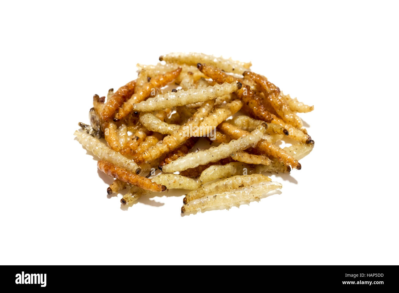 Fried caterpillars on a white background Stock Photo