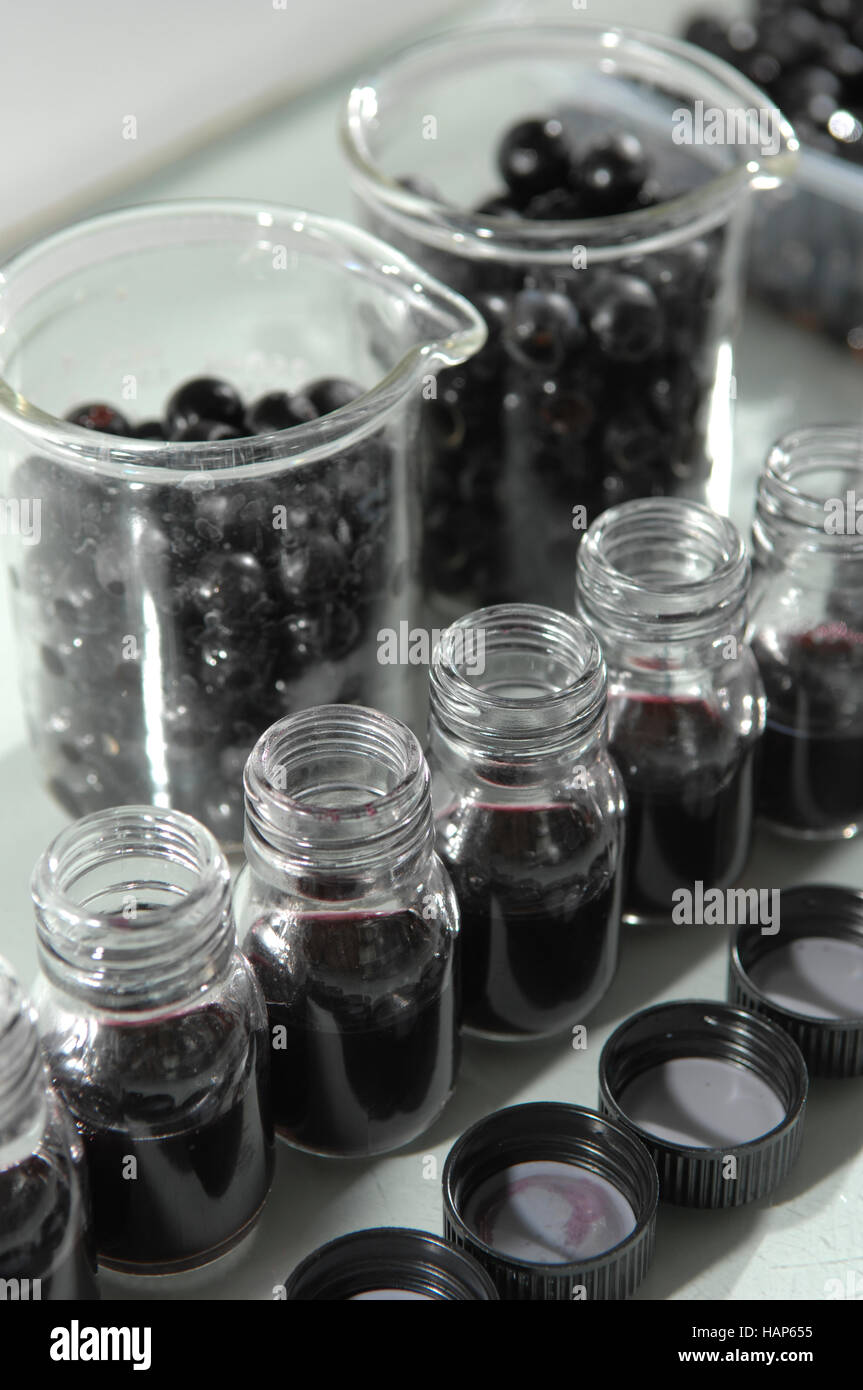 Wine quality control testing in modern laboratory, France Stock Photo Alamy