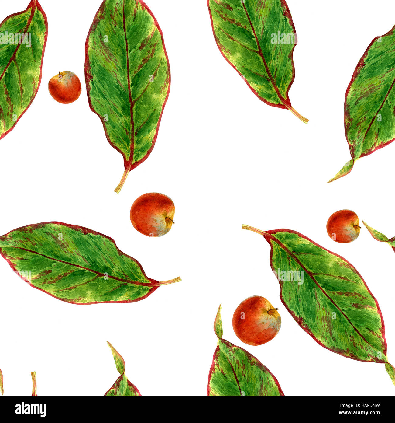 Watercolor illustration of leaf, seamless pattern on white background ...