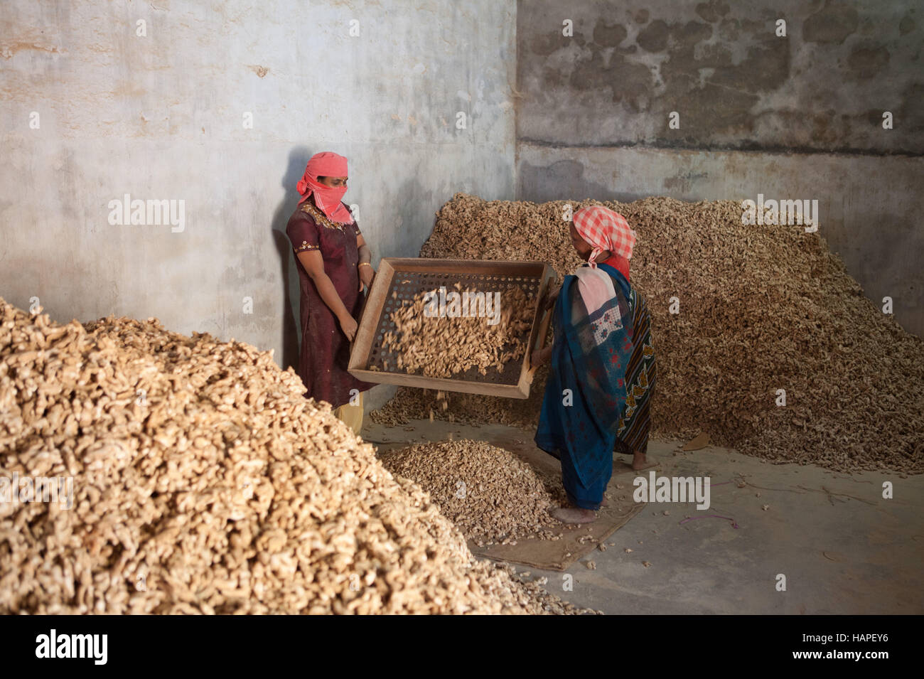 All Spices Market in Fort Kochi (Cochin) ,Kerala,India Stock Photo Alamy