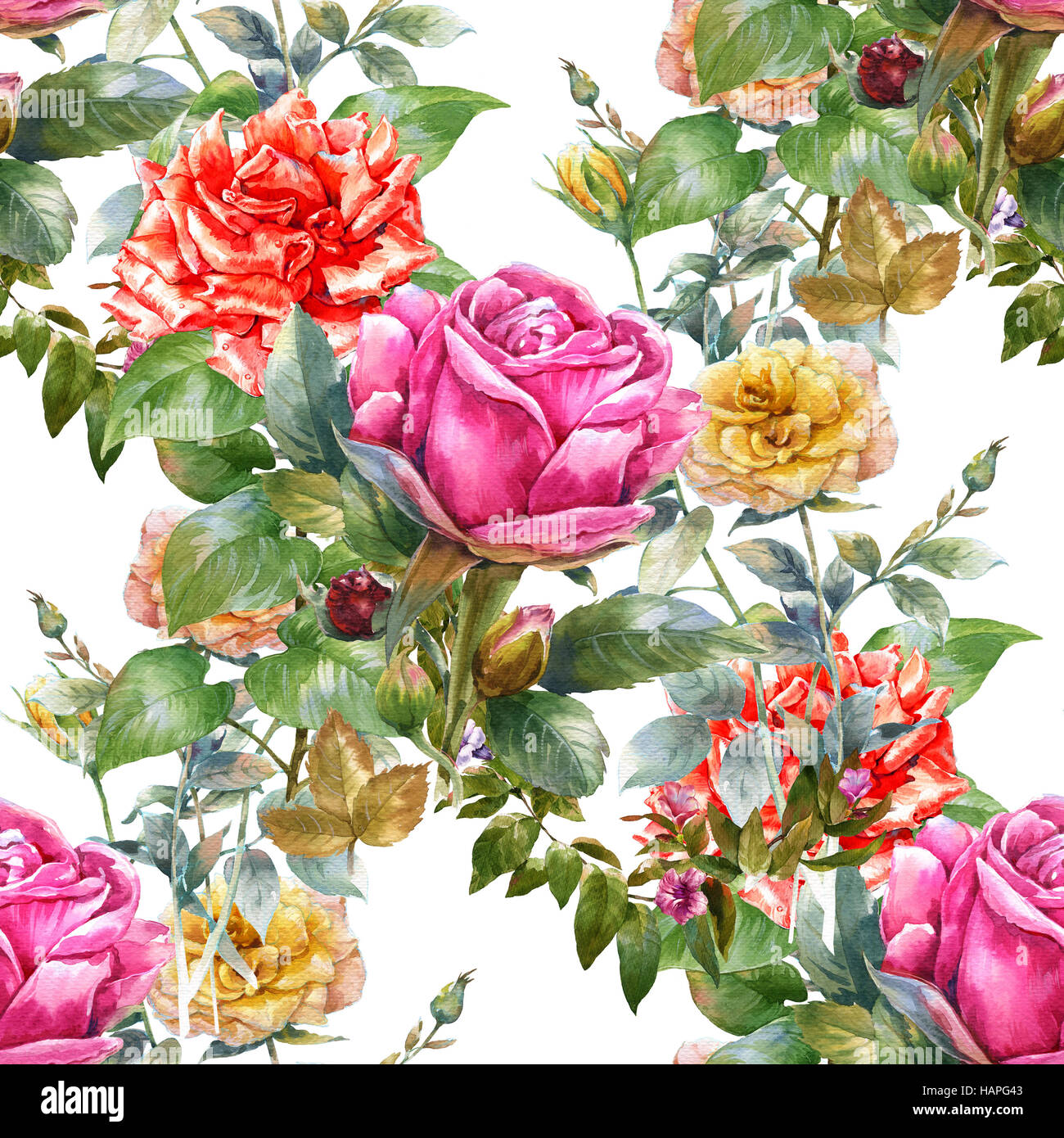 Watercolor painting of leaf and flowers,rose, seamless pattern on white