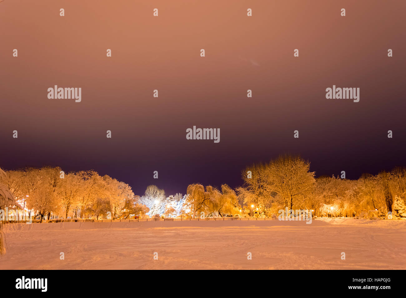 Winter Park In The Evening Covered With Snow Stock Photo - Alamy