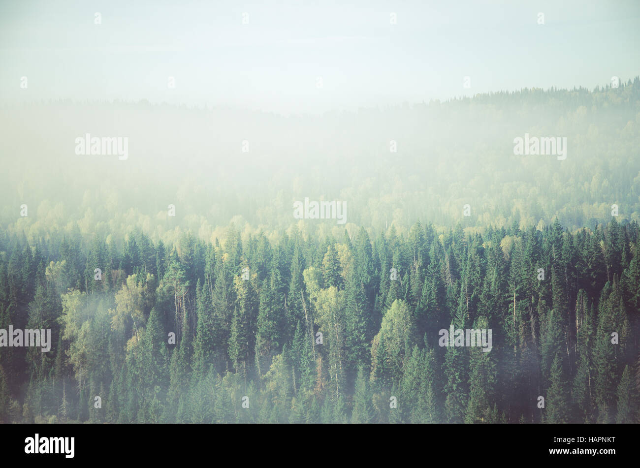 Thick fog covering mountain hills hi-res stock photography and images ...