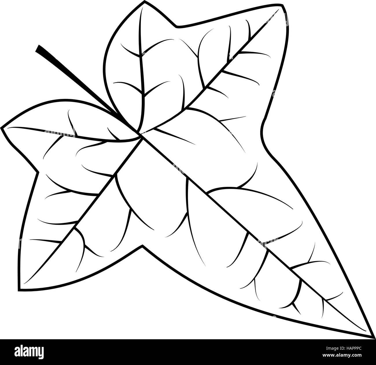 Ivy, ivy leaf, vector Stock Vector Image & Art - Alamy