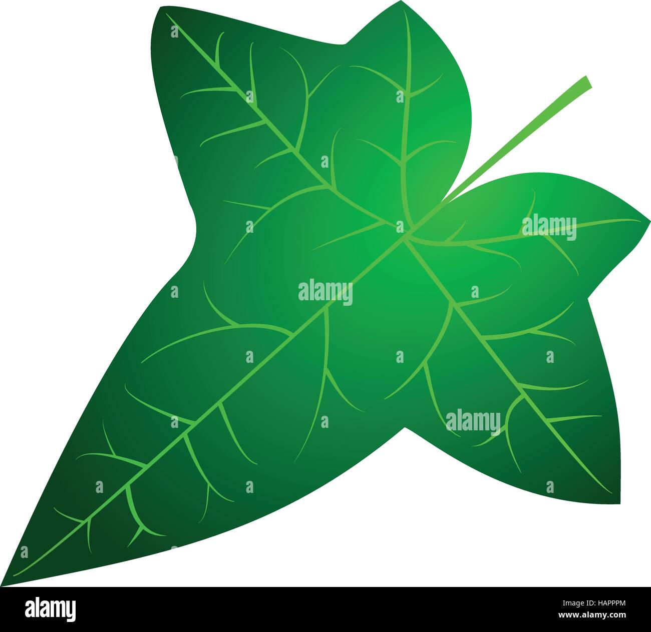 Vine Leaf Icon Stock Photos & Vine Leaf Icon Stock Images - Alamy
