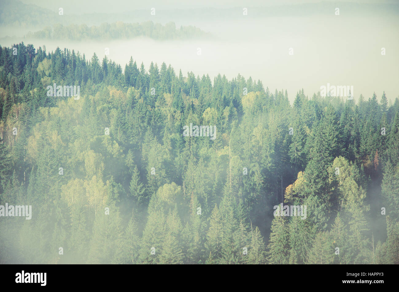 Thick fog covering mountain hills hi-res stock photography and images ...