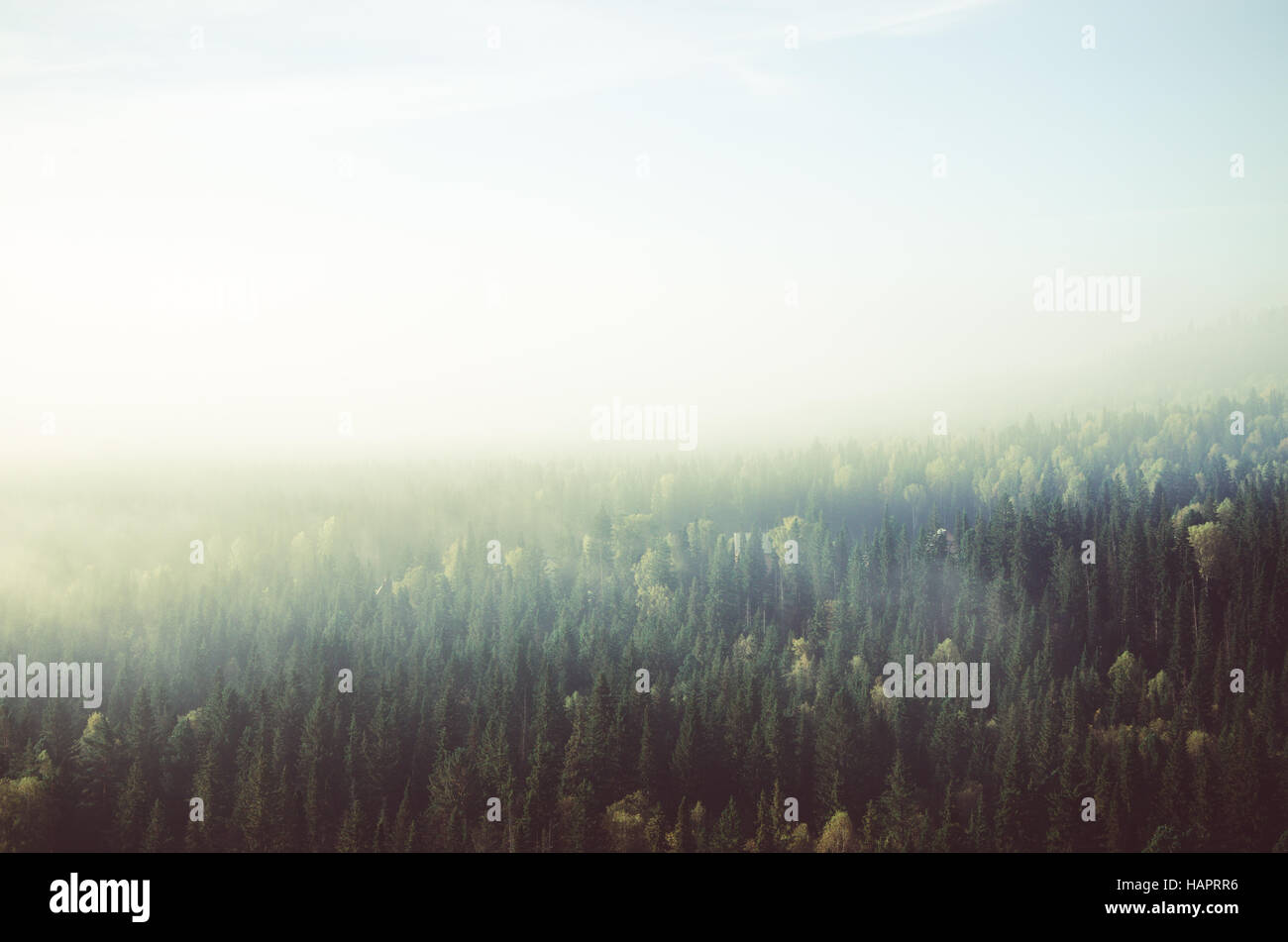 Thick fog covering mountain hills hi-res stock photography and images ...