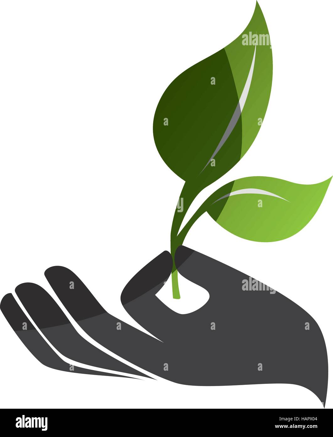 tree plant silhouette icon vector illustration design Stock Vector ...