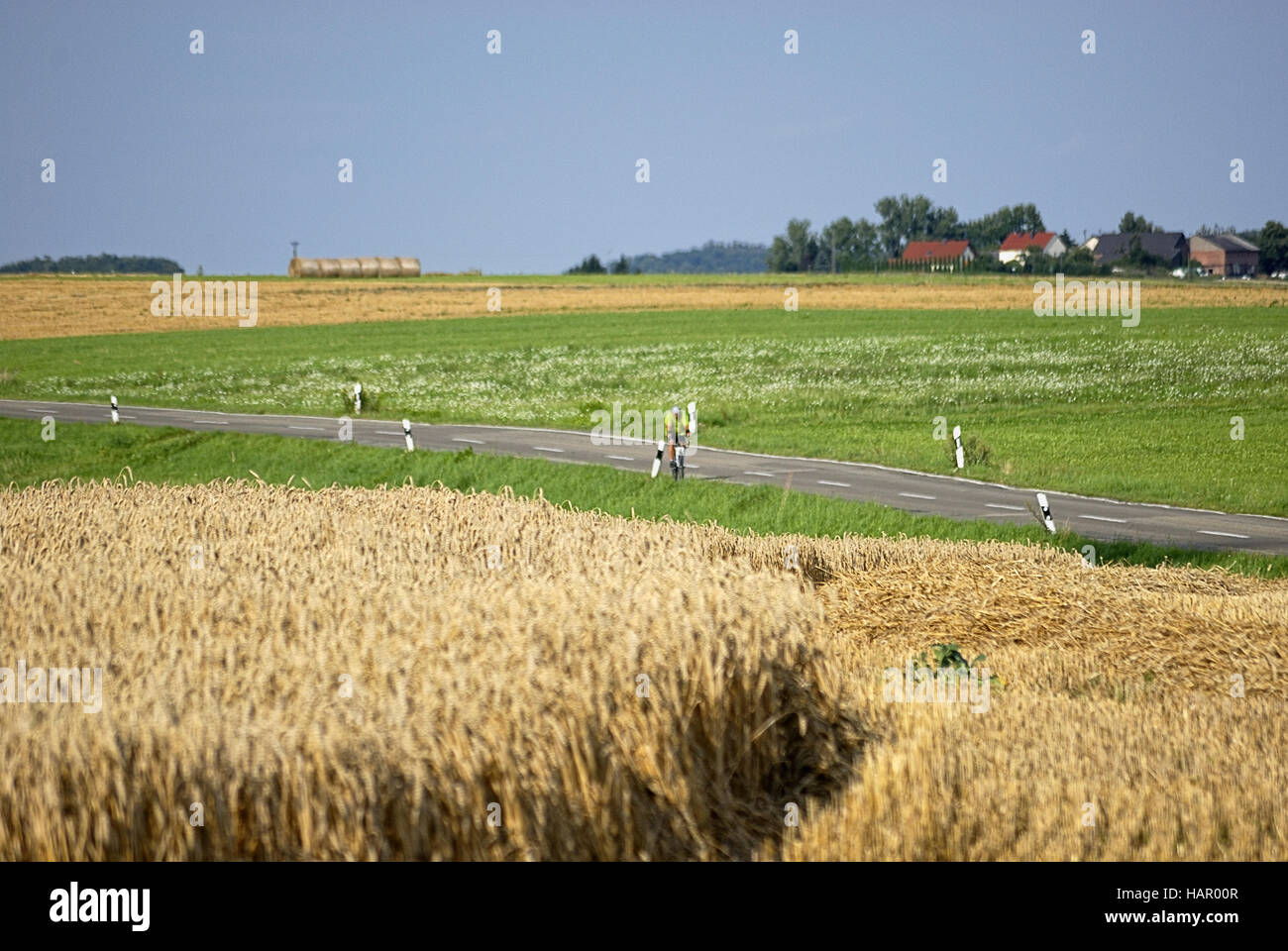 Felder+Wiesen - fields+meadows Stock Photo