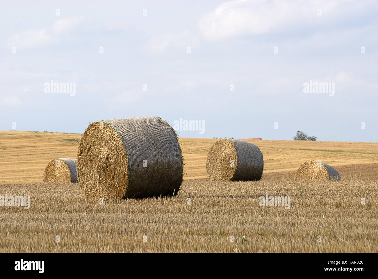 heuballen - hay-clenches Stock Photo