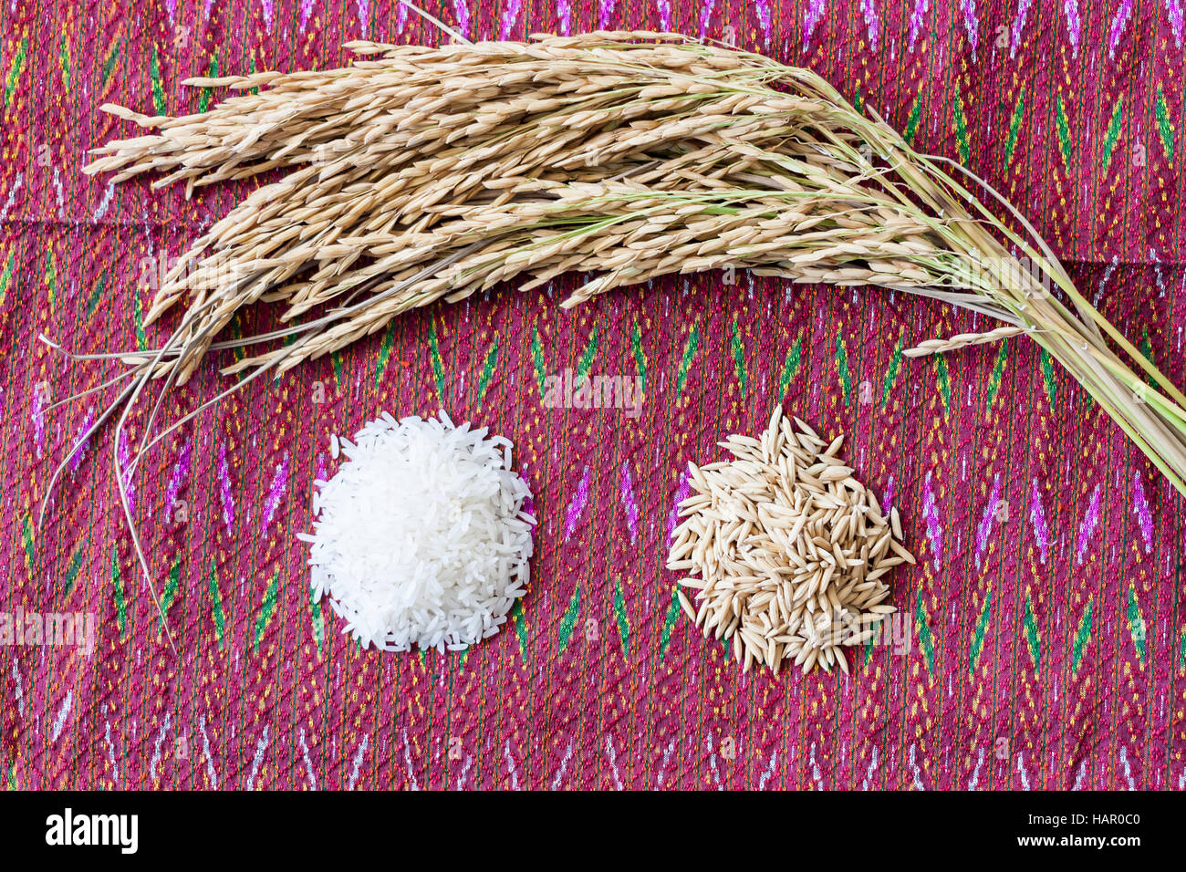 Agriculture Rice Seed Stock Photo