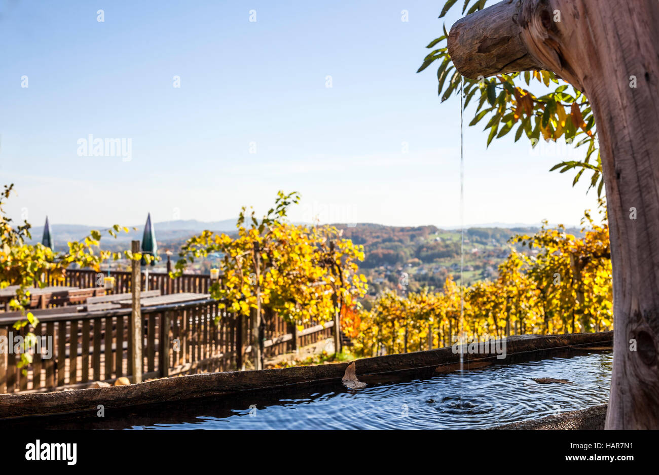 Wooden fountain with fresh clear water in garten with vineyards and terrace on vine route in Styria, Austria Stock Photo