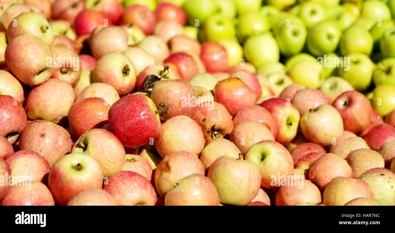 in south africa market red and yellow apples in the natural light Stock