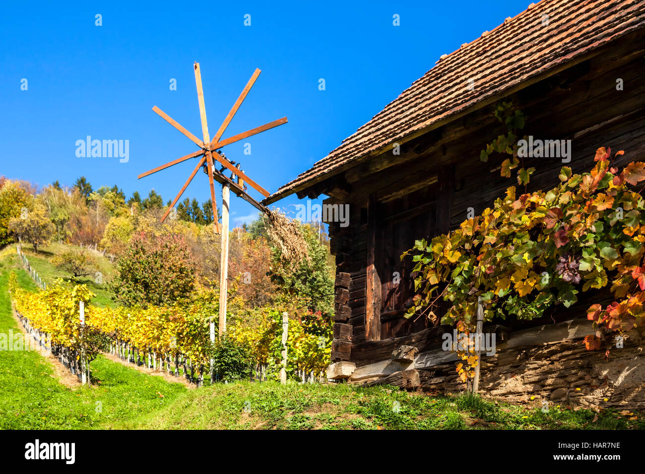 Traditional hut and Klapotetz windmill on vineyard on Schilcher wine route in western Styria, Austria Stock Photo