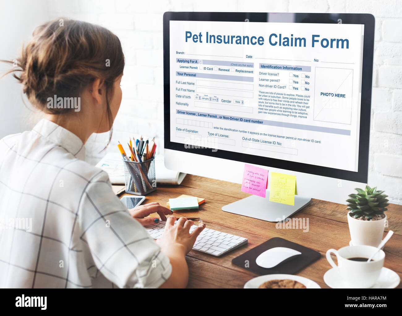 Pet Insurance Claim Form Protection Safety Health Concept Stock Photo
