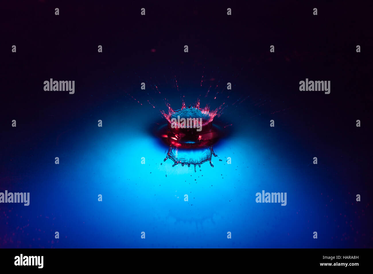 Water drop splash red and blue Stock Photo Alamy