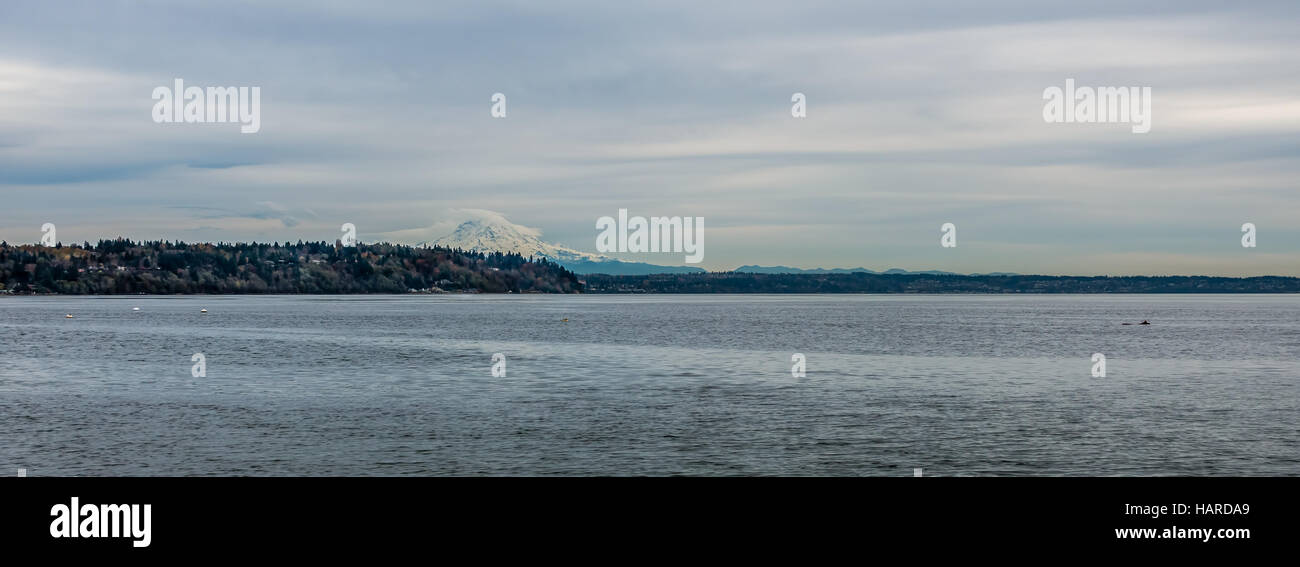 A panormamic view of Mount Rainier on an overcast day. Stock Photo