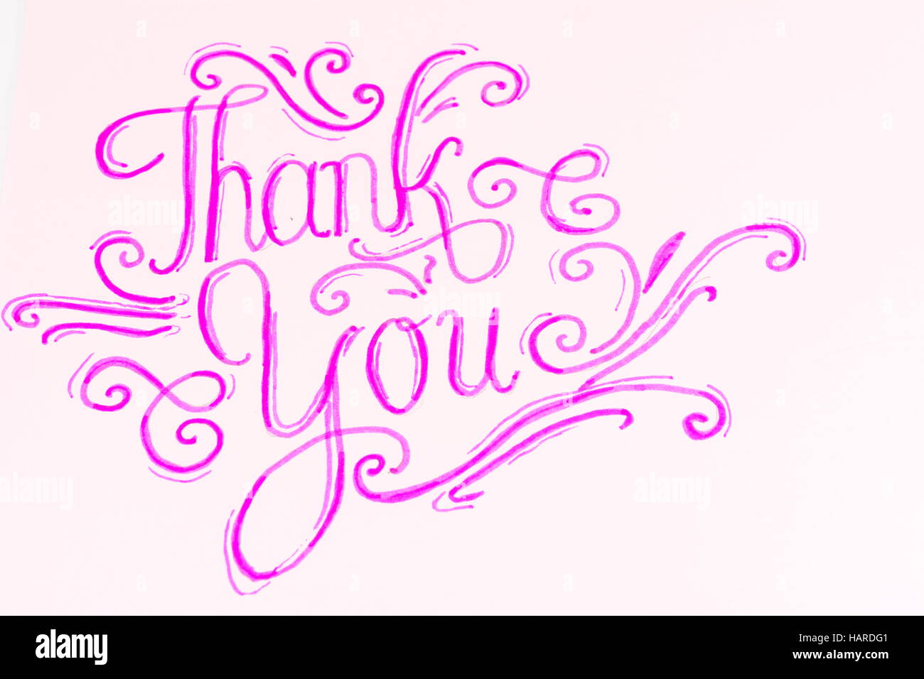 thank you handwritten calligraphy on a paper Stock Photo