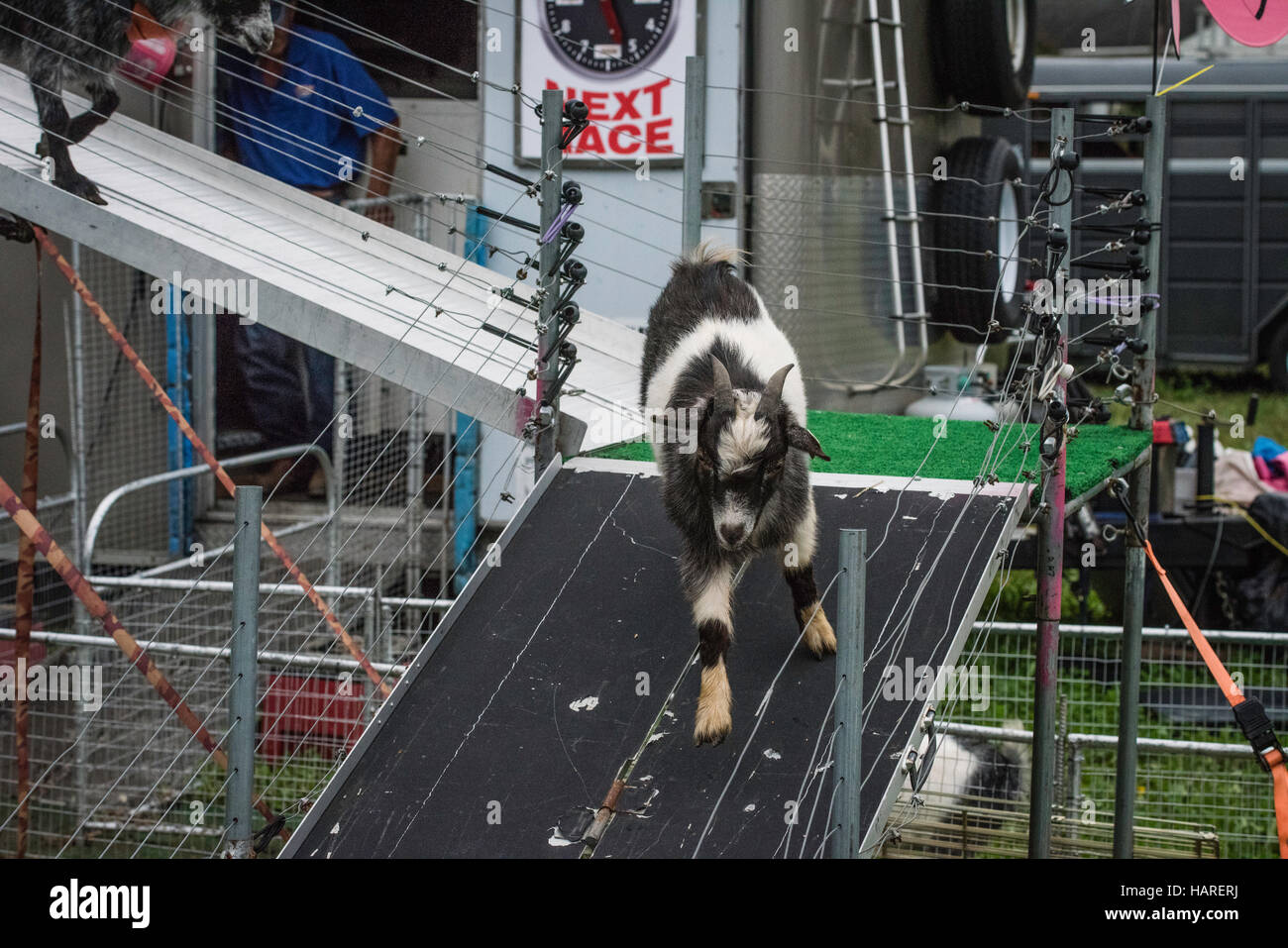 Lampeter Strasburg country fair Stock Photo Alamy