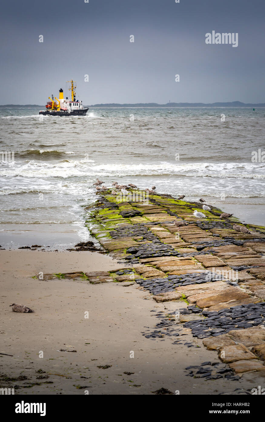 Cobbled feature extending out into the North Sea on a beach on Norderney Island, Germany, Europe. Stock Photo