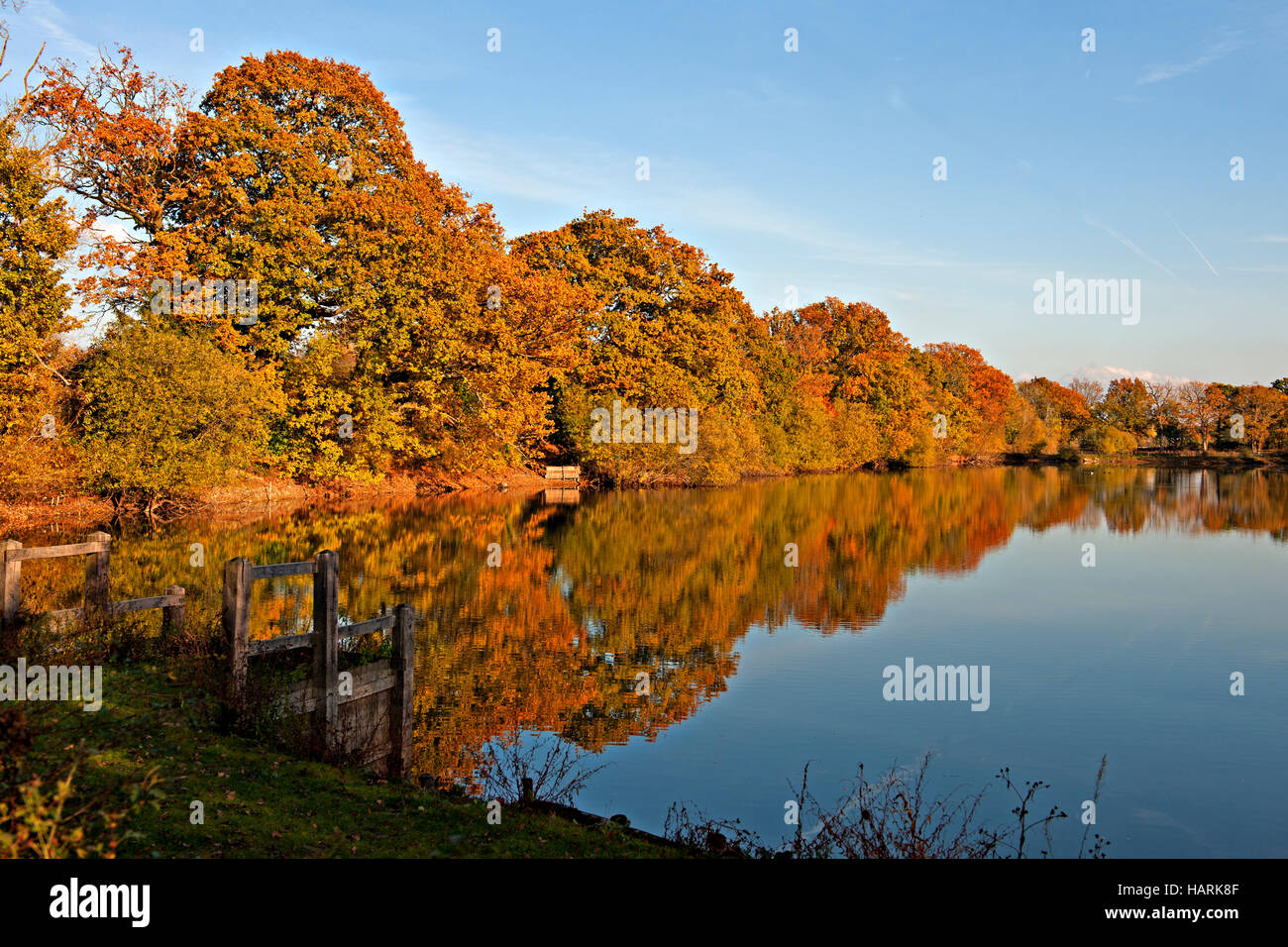 Autumn, Fall colours colors in Haysden Country Park, Kent, UK Stock Photo