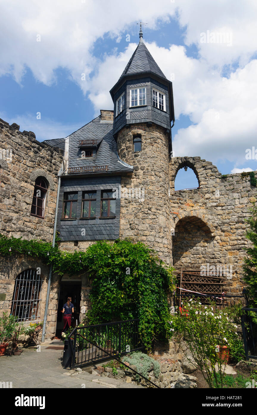 Rathen: castle Altrathen, Sächsische Schweiz, Saxon Switzerland, Sachsen, Saxony, Germany Stock Photo