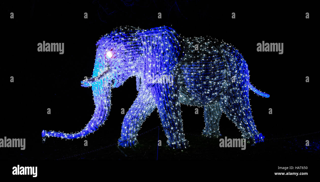 longleat-festival-of-light-stock-photo-alamy