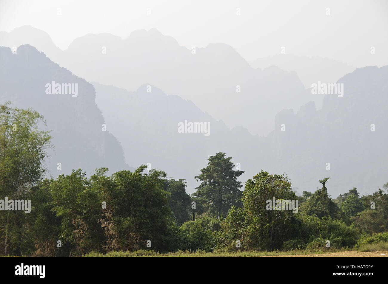 Asiatischer wald hi-res stock photography and images - Alamy