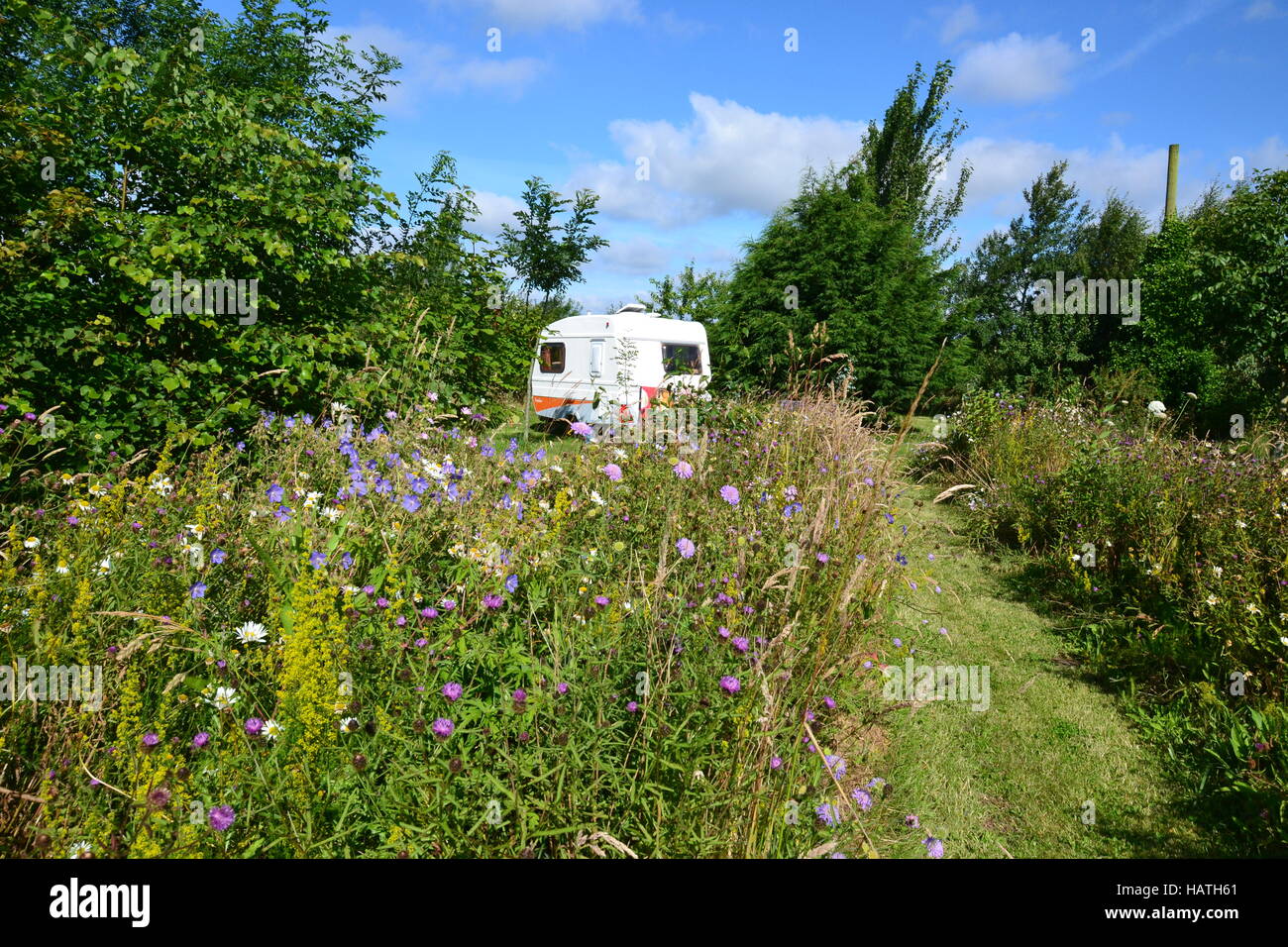 A Freedom Caravan in a wild flower meadow in Lincolnshire, UK Stock Photo