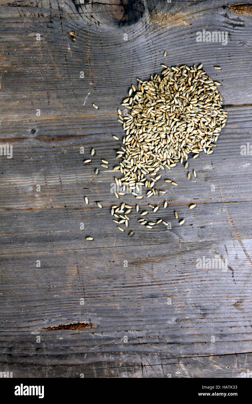 rye at a wooden background Stock Photo