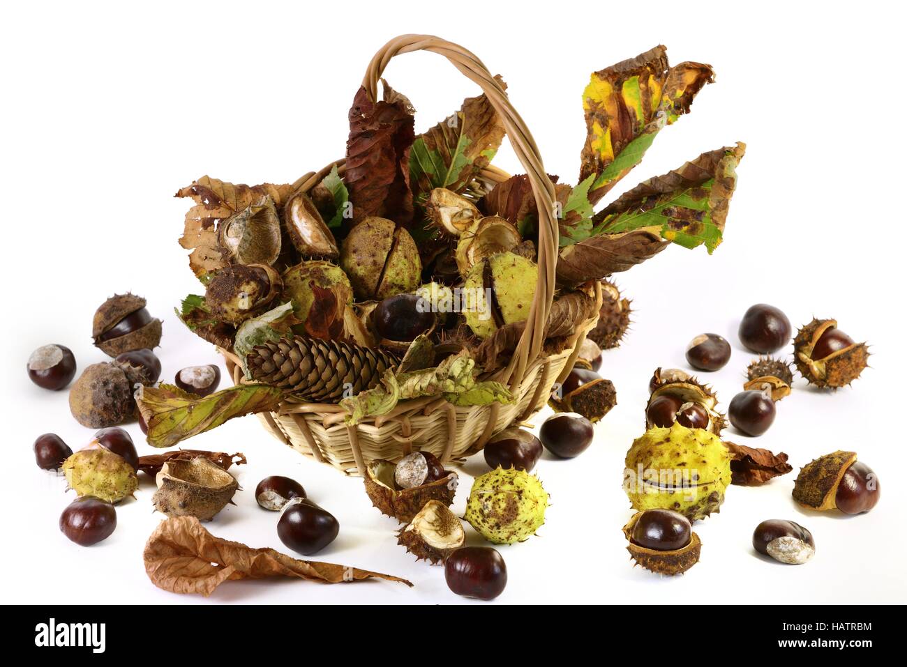 Basket with chestnuts and autumn leaves Stock Photo
