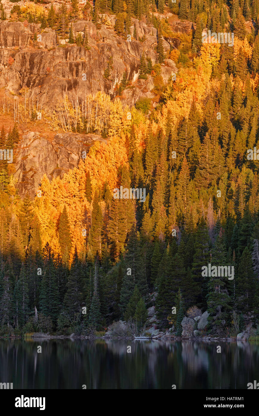 The morning sun brightens the fall color trees along the shore of Bear ...