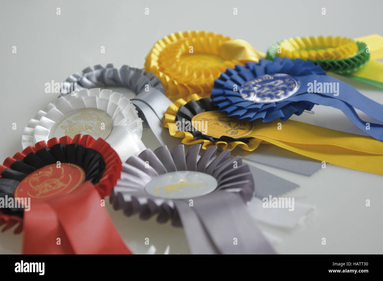 horsemanship Stock Photo