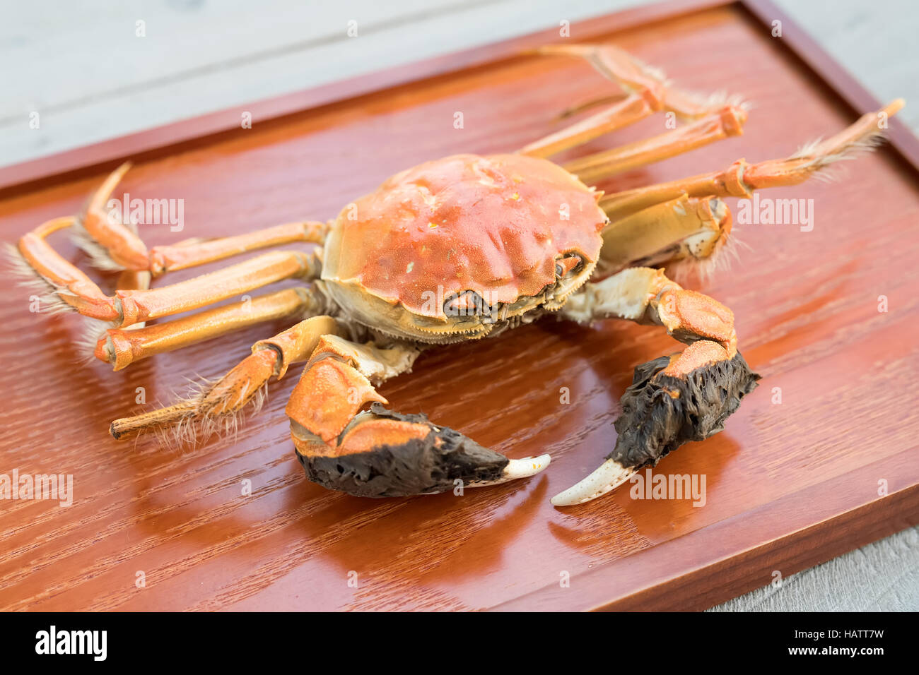 hairy crabs, chinese cuisine, autumn winter delicacy Stock Photo