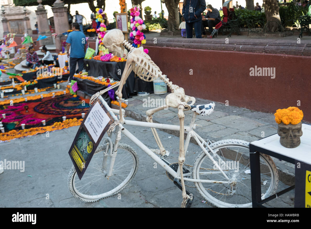 A skeleton on a bicycle in memory of cyclists that lost their lives in accidents during the Day of the Dead festival at the Jardin Principal in San Miguel de Allende, Guanajuato, Mexico. The week-long celebration is a time when Mexicans welcome the dead back to earth for a visit and celebrate life. Stock Photo