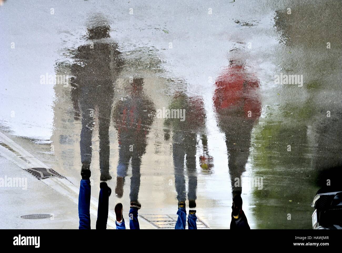 When Rain Falls, Bullets Fly: The Impact of Gangs in a Rainy City - Rainfall Statistics and Gang Presence