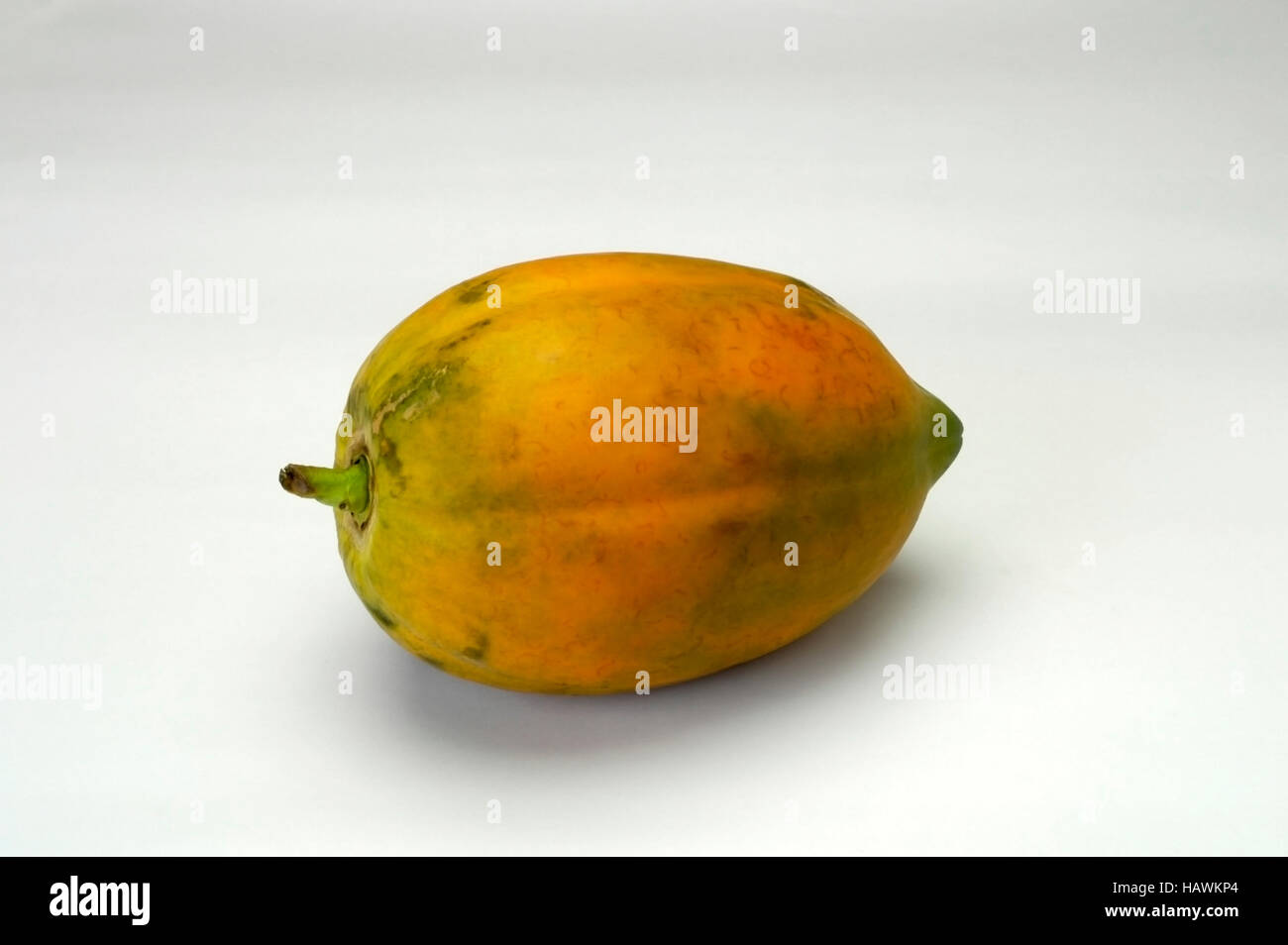 Papaya, Carica papaya, Caricaceae, Papayas are bell-shaped, with one end much smaller than the other. Stock Photo
