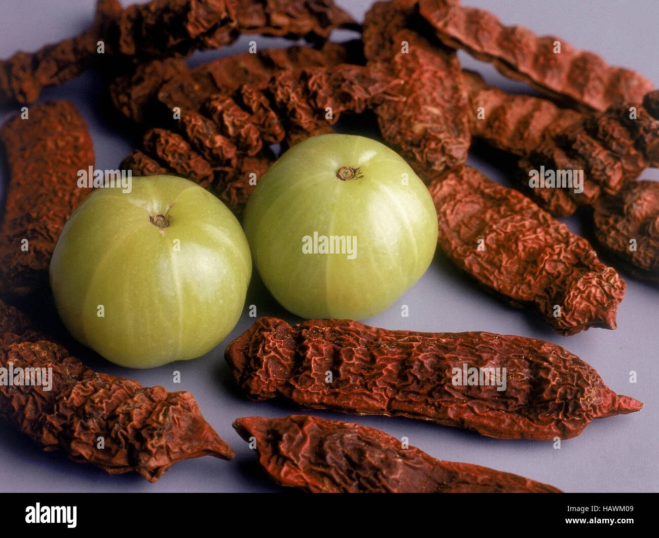 Indian Gooseberry, Emblica officinalis; These are medicinal plants Stock Photo