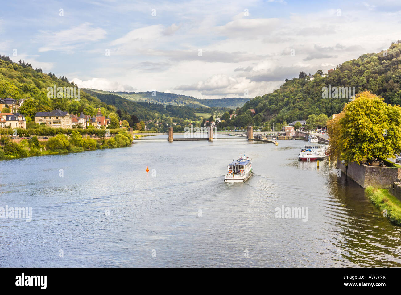 excursion boats, river neckar, heidelberg Stock Photo Alamy