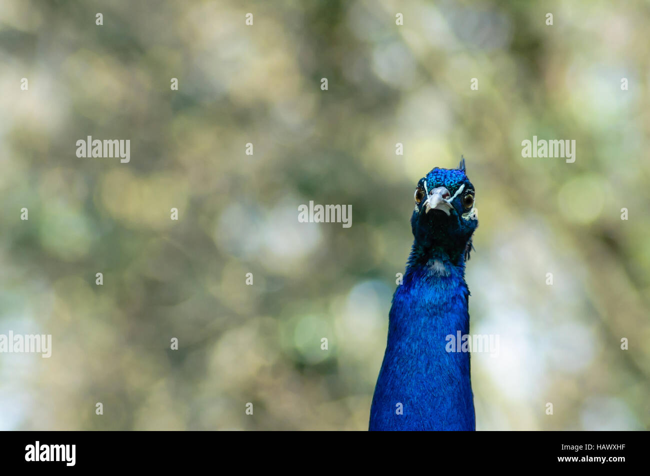 Was gugst du Stock Photo