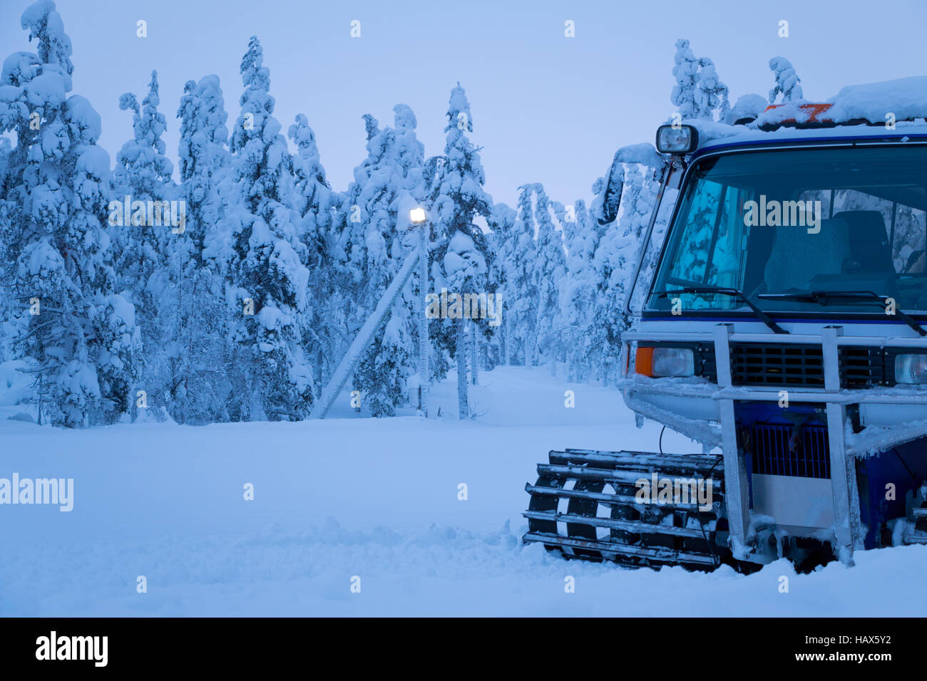 Winter evening. Trees dropped branches under the weight of large caps