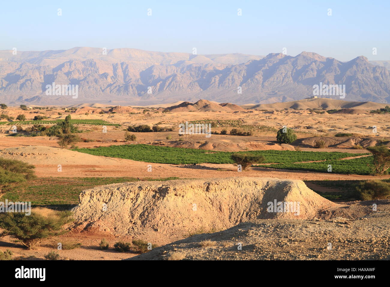 Wuste hi-res stock photography and images - Alamy