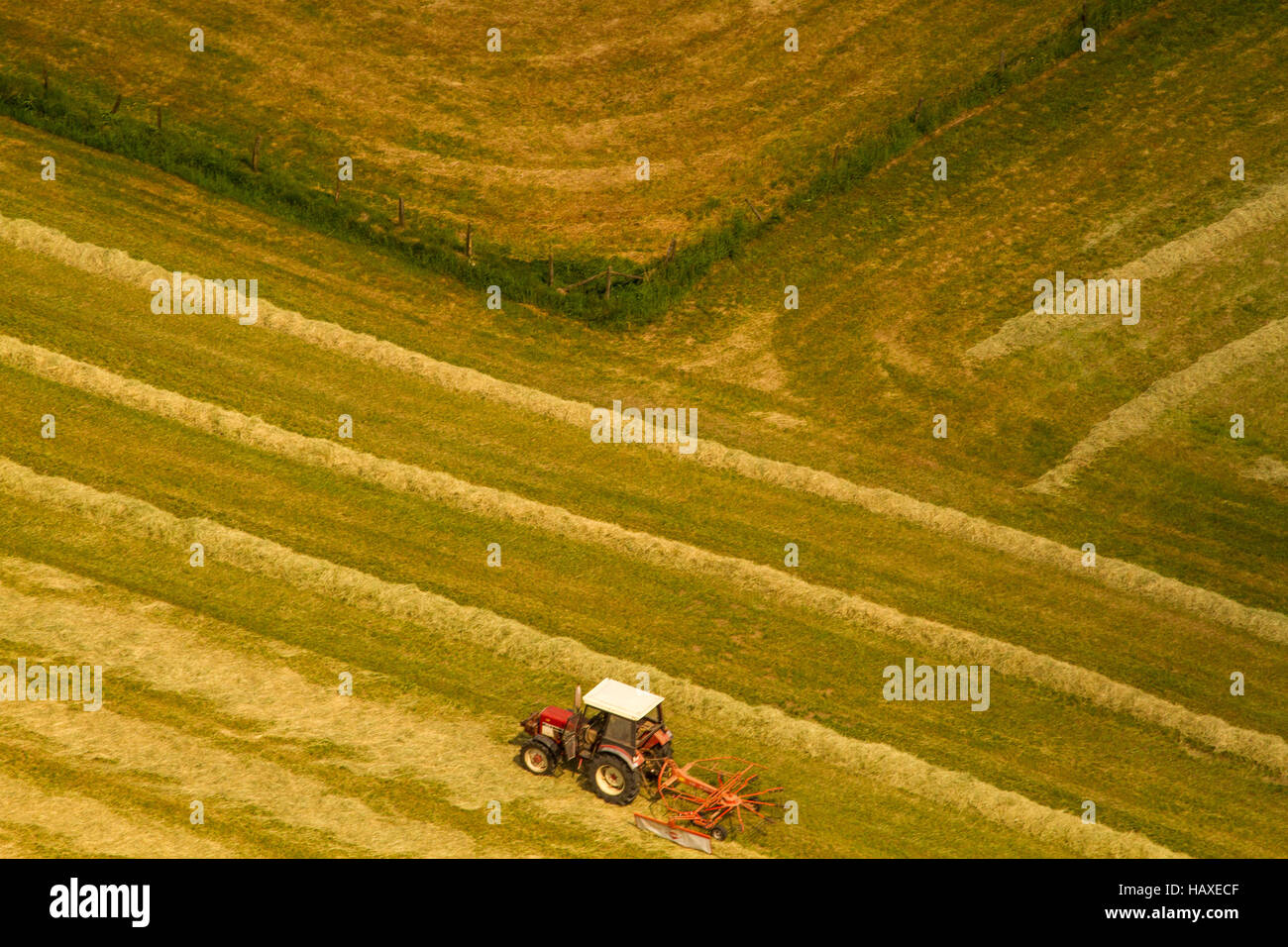 tractor on field Stock Photo - Alamy