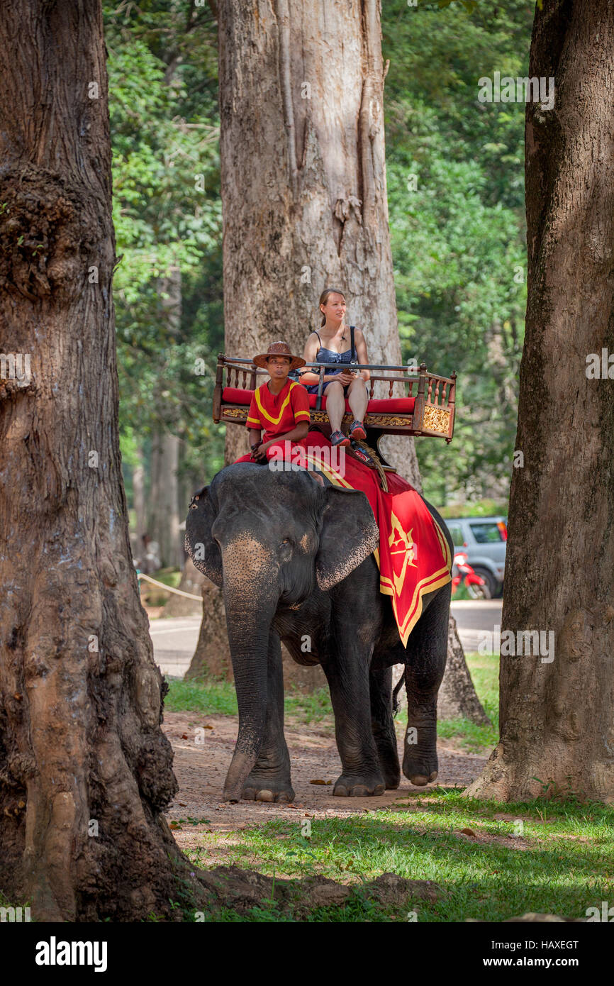 A kazoo-playing mahout serenades his Asiatic elephant with 'Jingle Bells' while touring customers at Angkor Thom temples. Stock Photo