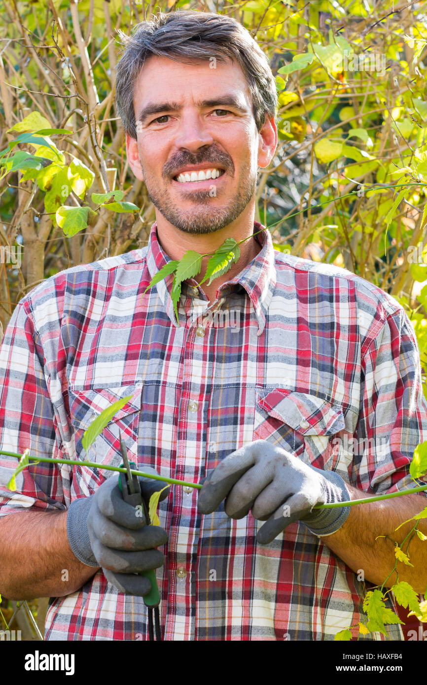 Man is cutting tree with trimmer Stock Photo