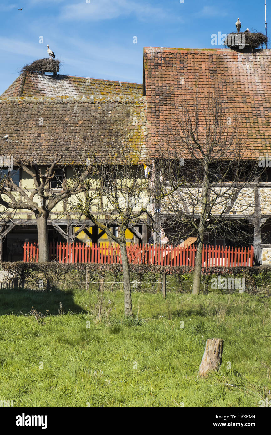 stork nests on of half-timbered houses Stock Photo
